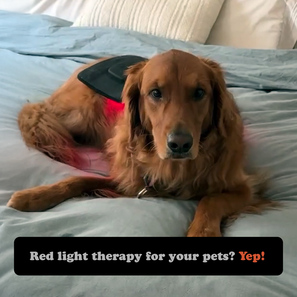 Fringe Red Light Therapy Wrap