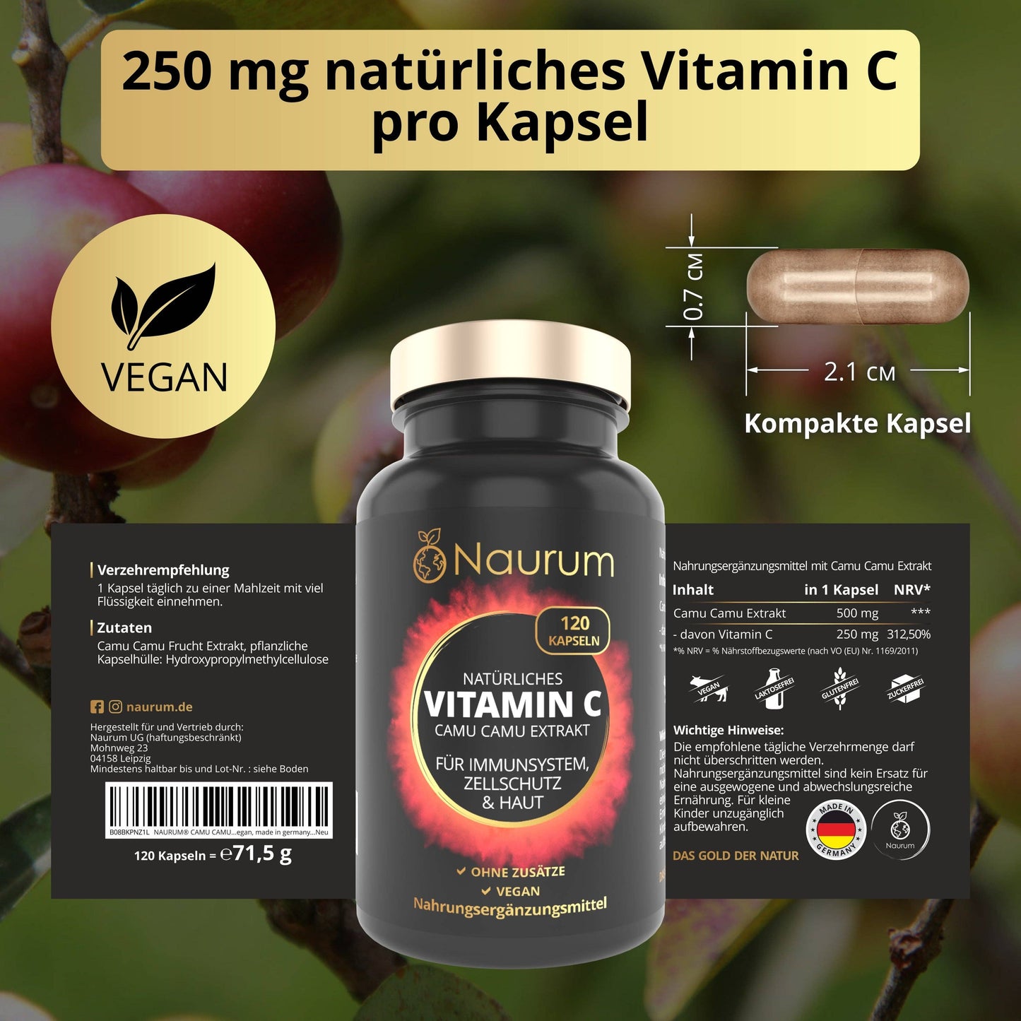 CAMU CAMU EXTRACT — Natural vitamin C