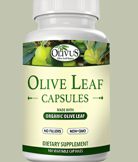 Olive Leaf Capsules - 100 Ct Bottle - 550 mg of Certified Organic Olive Leaf Powder - No Fillers - Immune Support Antioxidant Health Supplement